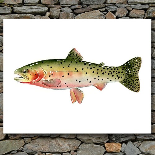 Brook Trout Art Print Watercolor Painting Fly Fishing Art Etsy