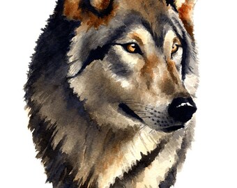 Wolf Portrait Art Print - Watercolor Painting by Artist DJ Rogers - Wildlife - Wall Decor