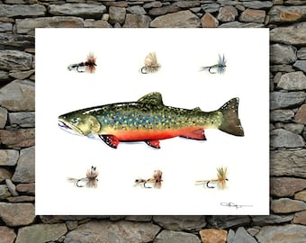Brook Trout Art Print - Watercolor Painting - Fly Fishing Art by Artist DJ Rogers - Wall Decor