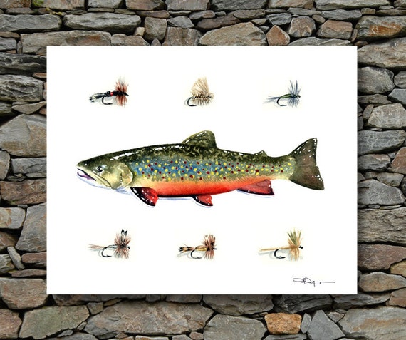 Brook Trout Art Print - Watercolor Painting - Fly Fishing Art by Artist DJ  Rogers - Wall Decor