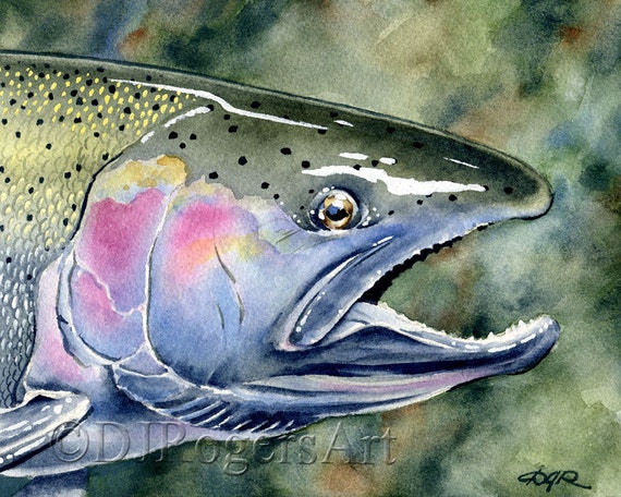 Steelhead Trout Art Print Watercolor Painting Fly Fishing Art by Artist DJ  Rogers Wall Decor -  Canada