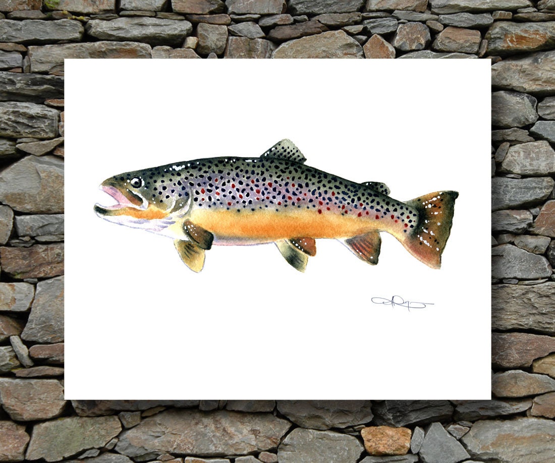 Brown Trout Art Print Watercolor Painting Fly Fishing Art Etsy