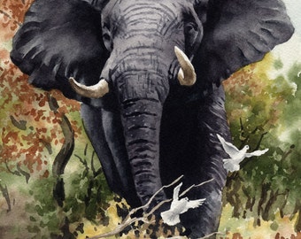 African Elephant - Art Print - Watercolor Painting by Artist DJ Rogers - Wildlife - Wall Decor