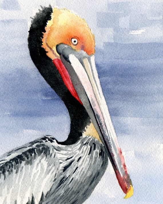 Pelican Art Print Acuarela Pintura por el artista DJ Rogers Etsy
