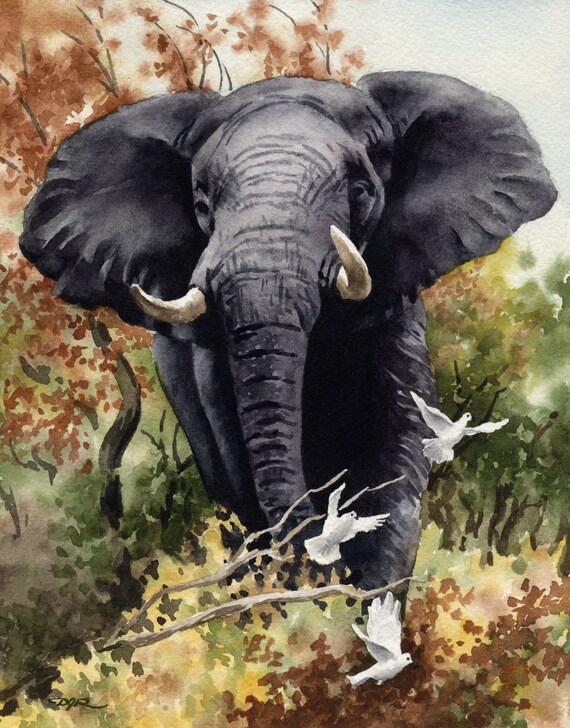 African Elephant Art Print Watercolor Painting by Artist DJ Etsy