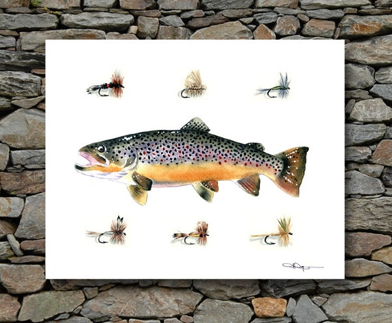Brown Trout Art Print - Watercolor Painting - Fly Fishing Art by Artist DJ  Rogers - Wall Decor