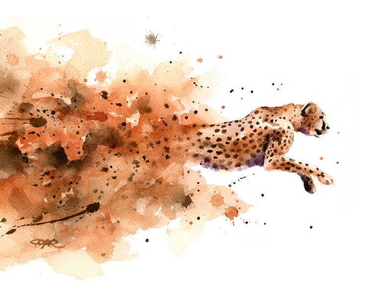 Cheetah Art Print Watercolor Painting Signed by Artist DJ | Etsy
