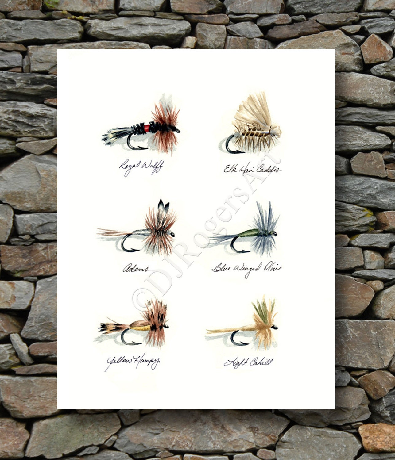 Fly Fishing Art Print dry Flies Watercolor Painting Angling Art by Artist  DJ Rogers Wall Decor 