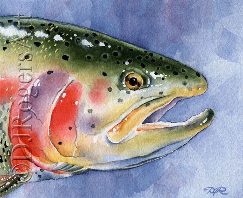 Rainbow Trout Art Print Watercolor Painting Fly Fishing Art by Artist DJ Rogers Wall Decor image 1