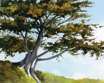 Cypress Tree - Art Print - Watercolor Painting by Artist DJ Rogers - Landscape - Wall Decor