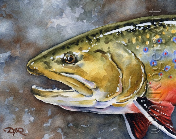 Brook Trout Art Print Watercolor Painting Fly Fishing Art by