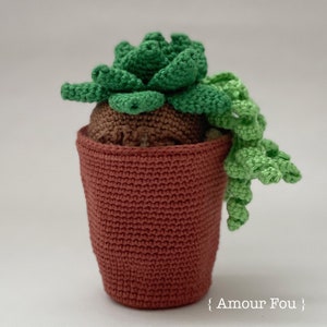 Flora, The Succulent Crochet Pattern by Amour Fou image 8