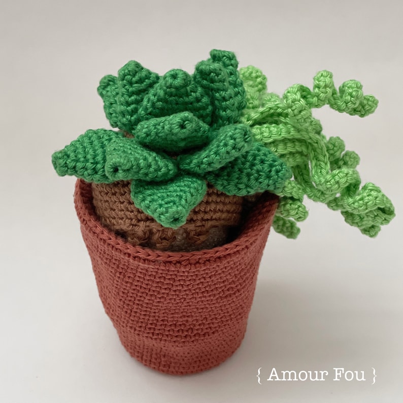 Flora, The Succulent Crochet Pattern by Amour Fou image 9