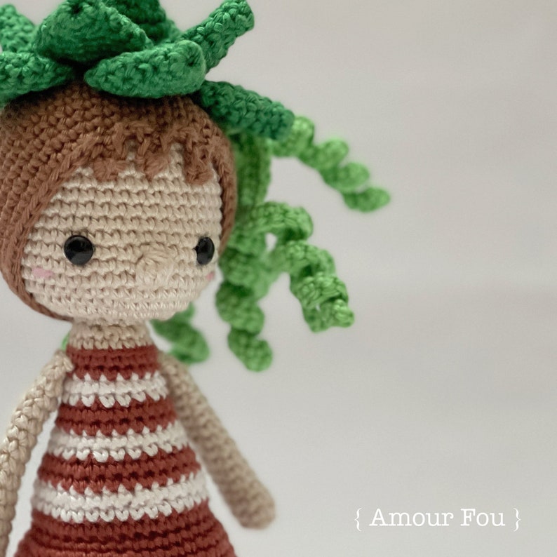 Flora, The Succulent Crochet Pattern by Amour Fou image 5