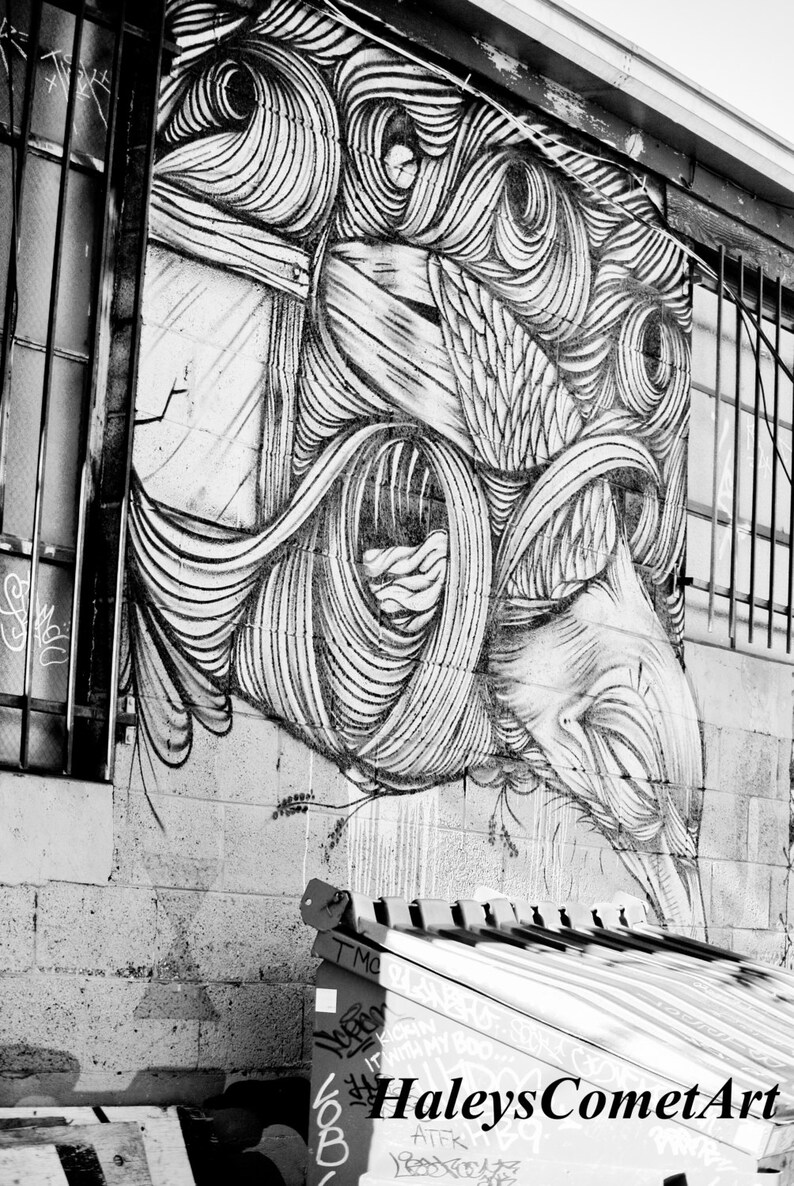 Black and white bird photograph graffiti picture abstract photography graffiti image high contrast black and white photo