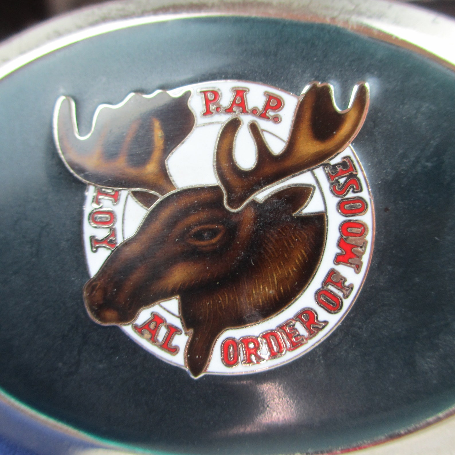 the royal order of the moose the royal order of the moose