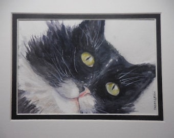 Original Watercolor, Tuxedo Cat Painting