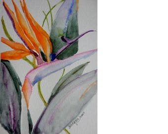 Bird of Paradise watercolor, original watercolor, flower painting