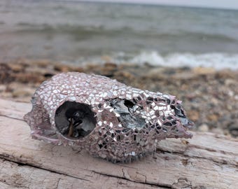 Baby Diana Mirror Skull