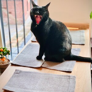 May include: A black cat with its mouth open, yawning, sitting on a light gray placemat on a wooden table. There are two other placemats on the table.