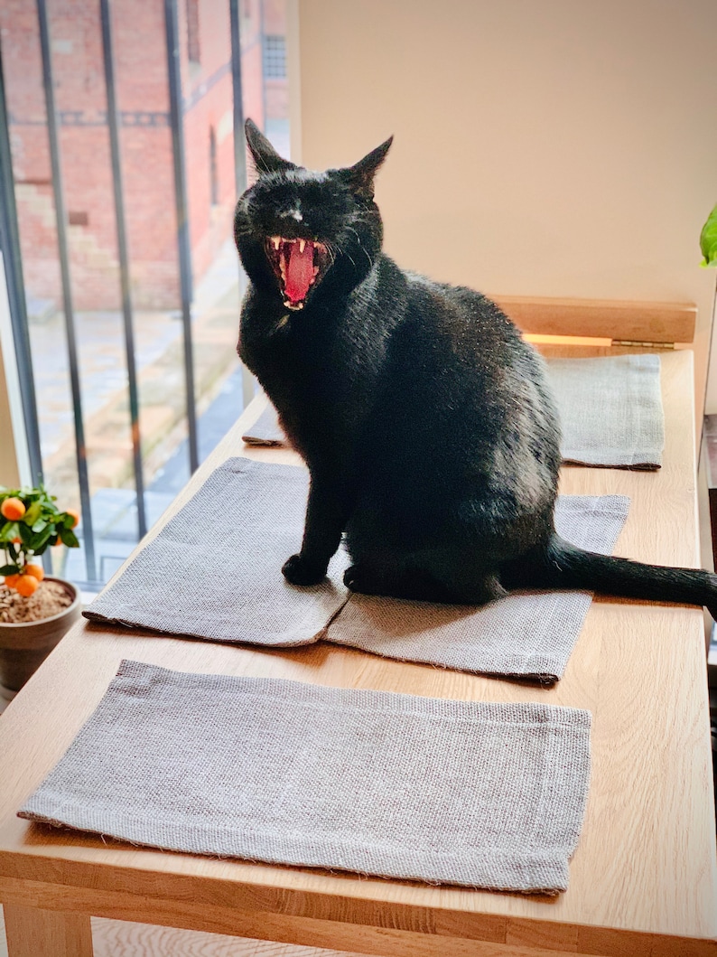 May include: A black cat with its mouth open, yawning, sitting on a light gray placemat on a wooden table. There are two other placemats on the table.