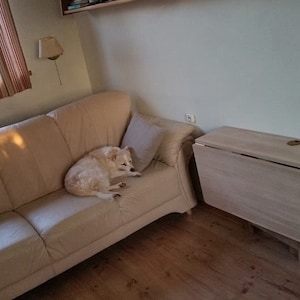 May include: A white dog is sleeping on a beige couch in a living room. A light wood folding table is against the wall to the right of the couch.