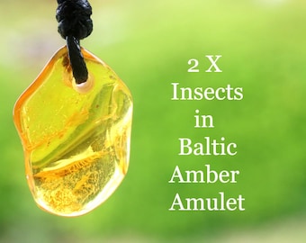 Bright Yellow Amber Amulet | 2 Insect Inclusions in Baltic Amber Pendant | Genuine Fossil Inclusions