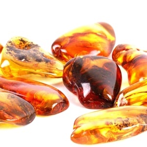 May include: A selection of polished amber stones, showcasing a spectrum of colours from golden yellow to deep reddish-brown. The stones vary in shape and size, with translucent and opaque sections. The amber pieces are presented against a white backdrop.