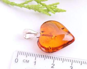 Colgante De ámbar Báltico Coñac: Collar De Plata De Ley Con Forma De