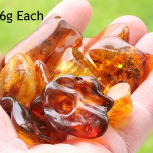 May include: A handful of amber stones, ranging in color from light yellow to dark brown, with some inclusions. The stones are approximately 5 to 6 grams each. The text "Baltic Amber" is visible in the lower right corner of the image.