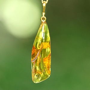 Könnte beinhalten: Ein durchscheinender, tropfenförmiger Anhänger aus gelb-grünem Bernstein mit sichtbaren organischen Einschlüssen im Inneren. Der Anhänger ist an einer goldfarbenen Metallöse befestigt und weist eine glatte, polierte Oberfläche auf.