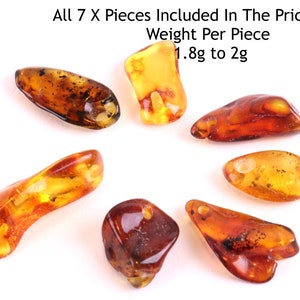 May include: Seven amber stones of different shapes and sizes, displayed in a circular arrangement. The stones vary in colour from pale yellow to deep brown, with some showing inclusions. Text on the image states: "All 7 X Pieces Included In The Price Approx Weight Per Piece 1.8g to 2g."