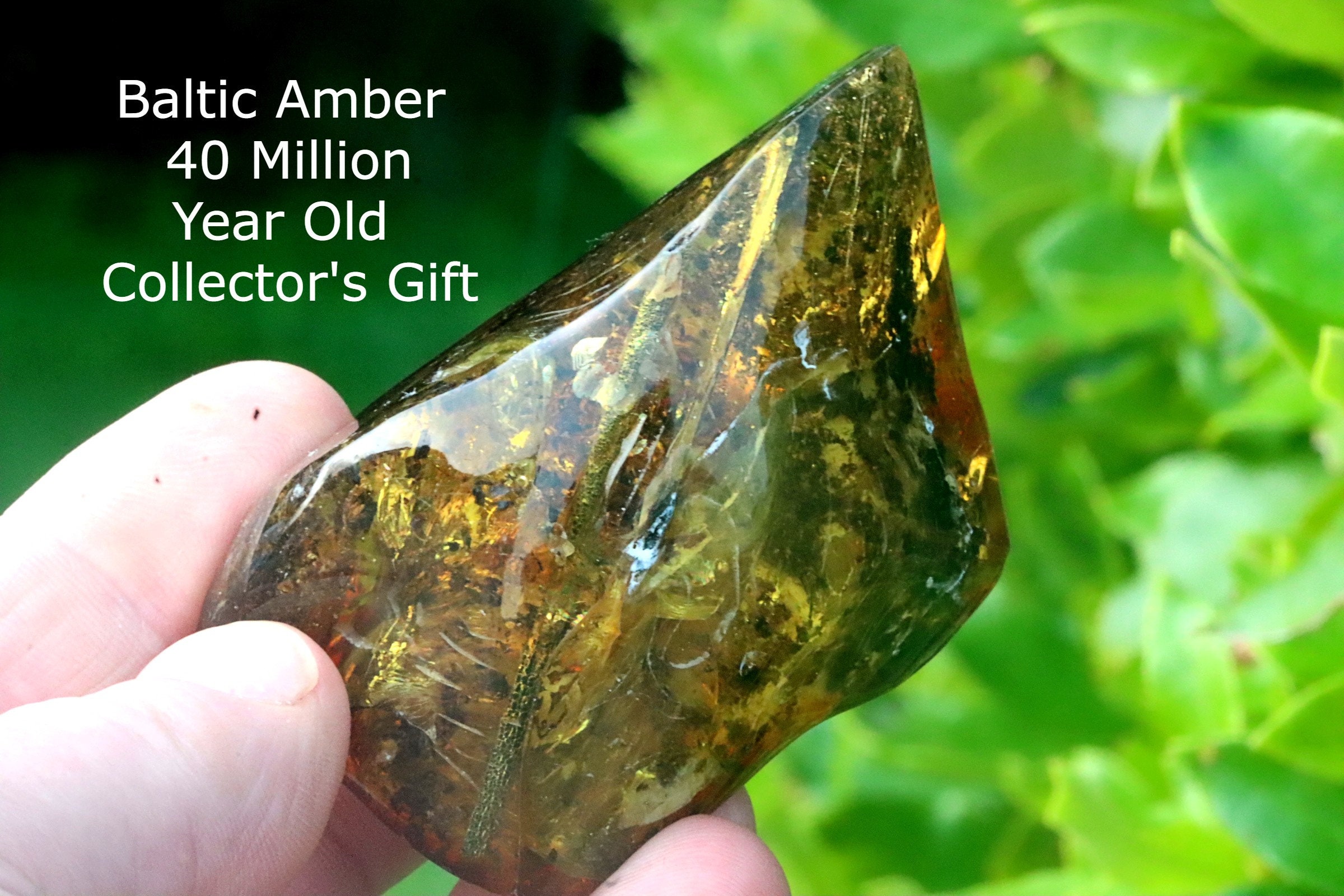 Amber Collector's Gemstone - Amber SOS