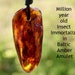 see more listings in the Insect In Amber section