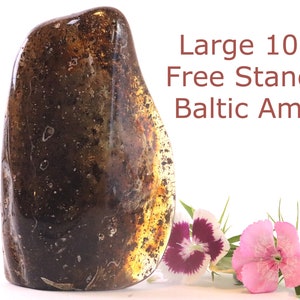 Rare 103g Museum Collector's Baltic Amber Gem | Thousands of Air Bubbles | Large Natural Amber Fossil | Unique Geology Collector's Gift