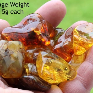 Authentic Baltic Amber Tumbled Stone / 1 Piece Average 4g to 5g / Collectors Natural Baltic Amber, Polished Healing Amber gemstone