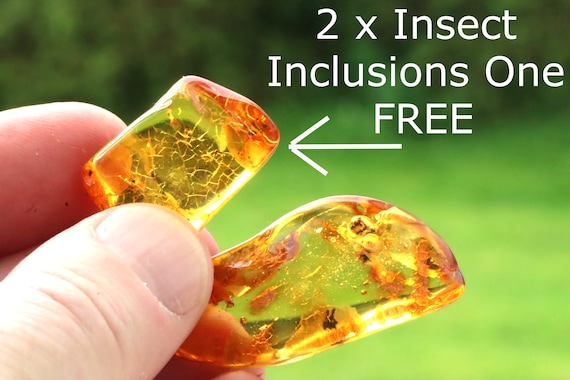 Amber Collector's Gemstone - Amber SOS