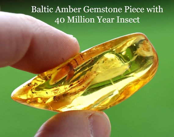 4000万年前の昆虫インクルージョンを含むバルト海産琥珀宝石 - 本物の