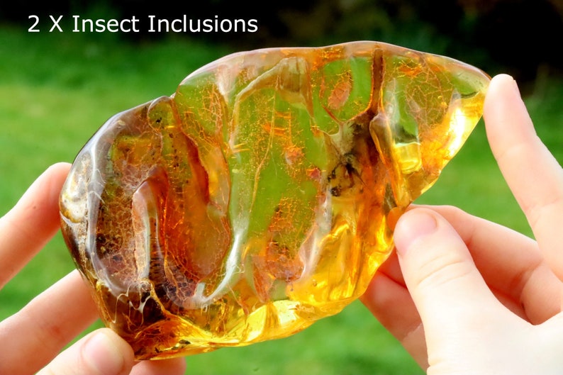 Breathtaking Collector's Gem With 2 X 40 Million Year Old Insects Inclusion and Air Bubbles / Baltic Amber Collectors Geology Gem gift image 2