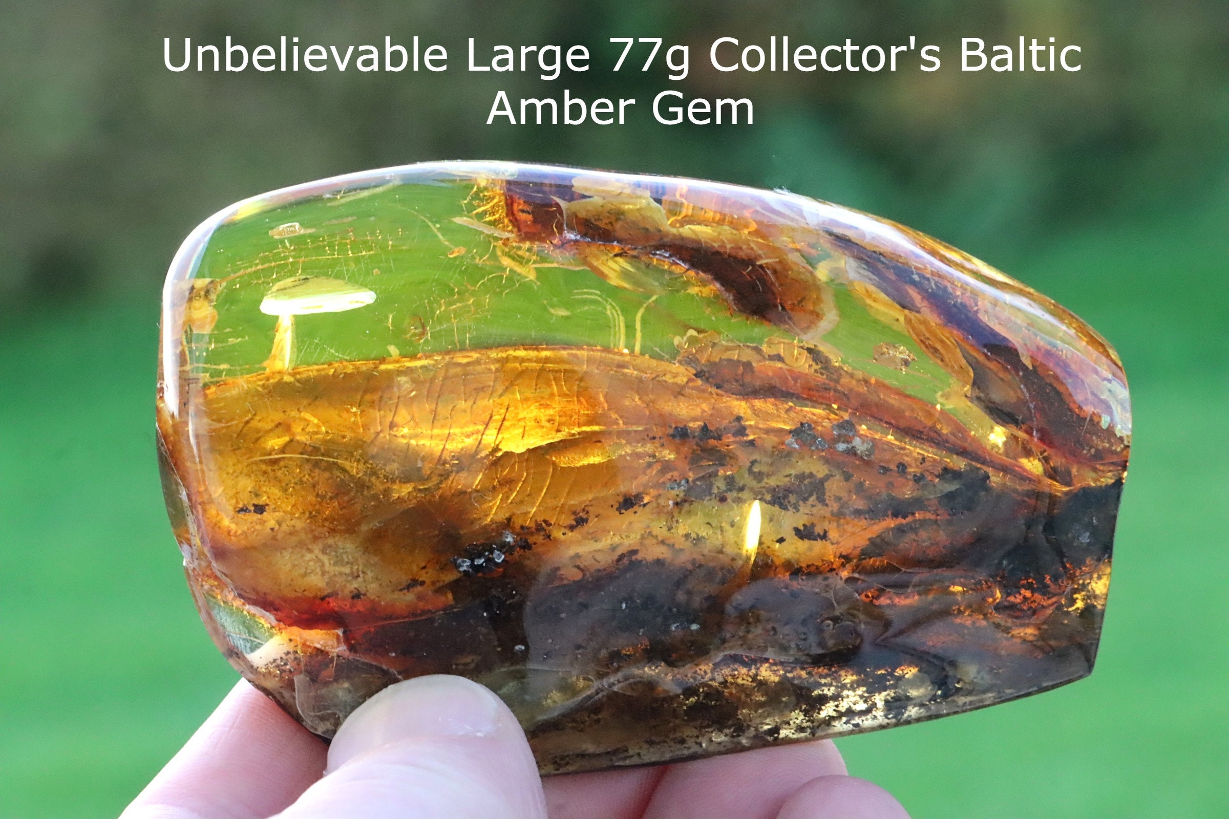 Amber Collector's Gemstone - Amber SOS