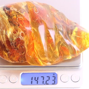 Breathtaking Collector's Gem With 2 X 40 Million Year Old Insects Inclusion and Air Bubbles / Baltic Amber Collectors Geology Gem gift image 10