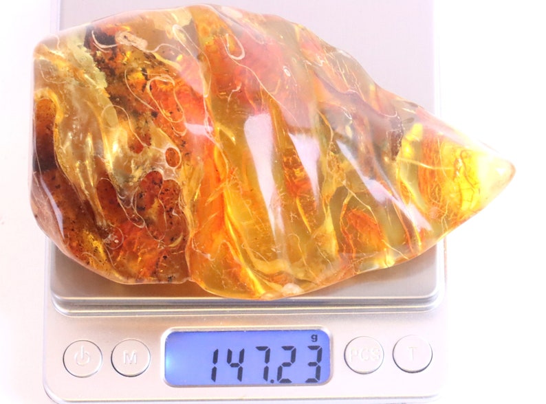 Breathtaking Collector's Gem With 2 X 40 Million Year Old Insects Inclusion and Air Bubbles / Baltic Amber Collectors Geology Gem gift image 10