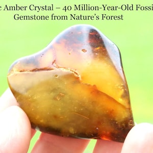 Puede incluir: Un cristal de ámbar báltico en forma de corazón, una gema fósil de 40 millones de años. El ámbar es de color marrón dorado translúcido con inclusiones más oscuras. El texto "Baltic Amber Crystal - 40 Million-Year-Old Fossil Gemstone from Nature's Forest" está en la parte superior.