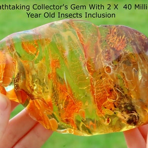 Breathtaking Collector's Gem With 2 X 40 Million Year Old Insects Inclusion and Air Bubbles / Baltic Amber Collectors Geology Gem gift image 1