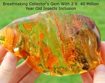 Breathtaking Collector's Gem With 2 X  40 Million Year Old Insects Inclusion and Air Bubbles / Baltic Amber Collectors Geology Gem gift