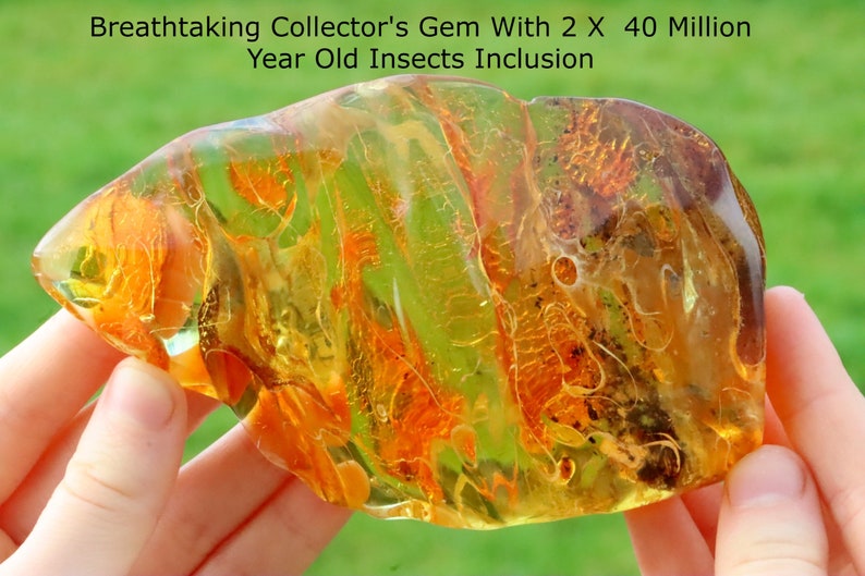 Breathtaking Collector's Gem With 2 X 40 Million Year Old Insects Inclusion and Air Bubbles / Baltic Amber Collectors Geology Gem gift image 1