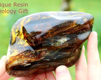 Unbelievable Large 253g Baltic Amber Collector's Gem / Museum Collector's Natural Baltic Amber / Unique Resin Geology Gift