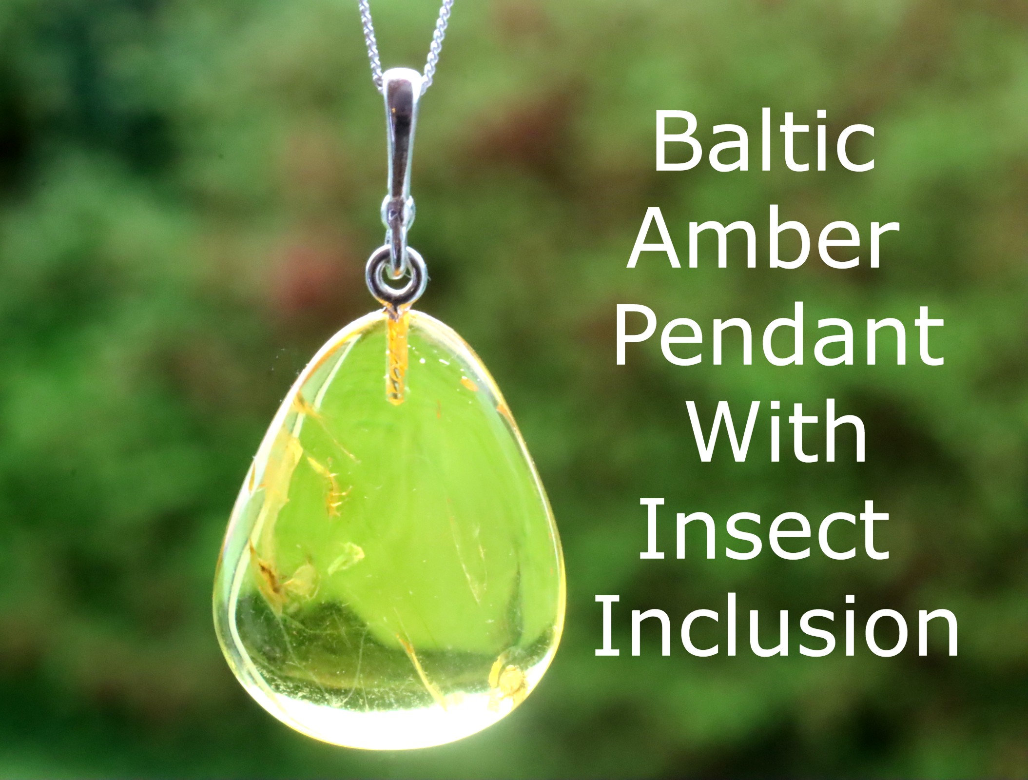 Amber pendant 2024 with insect