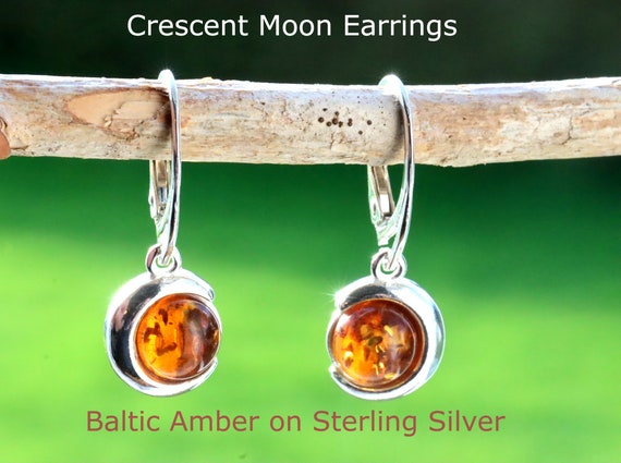 Sterling Silverr Amber Round Donut Earrings Sterling Silverr Amber Round Donut Earrings