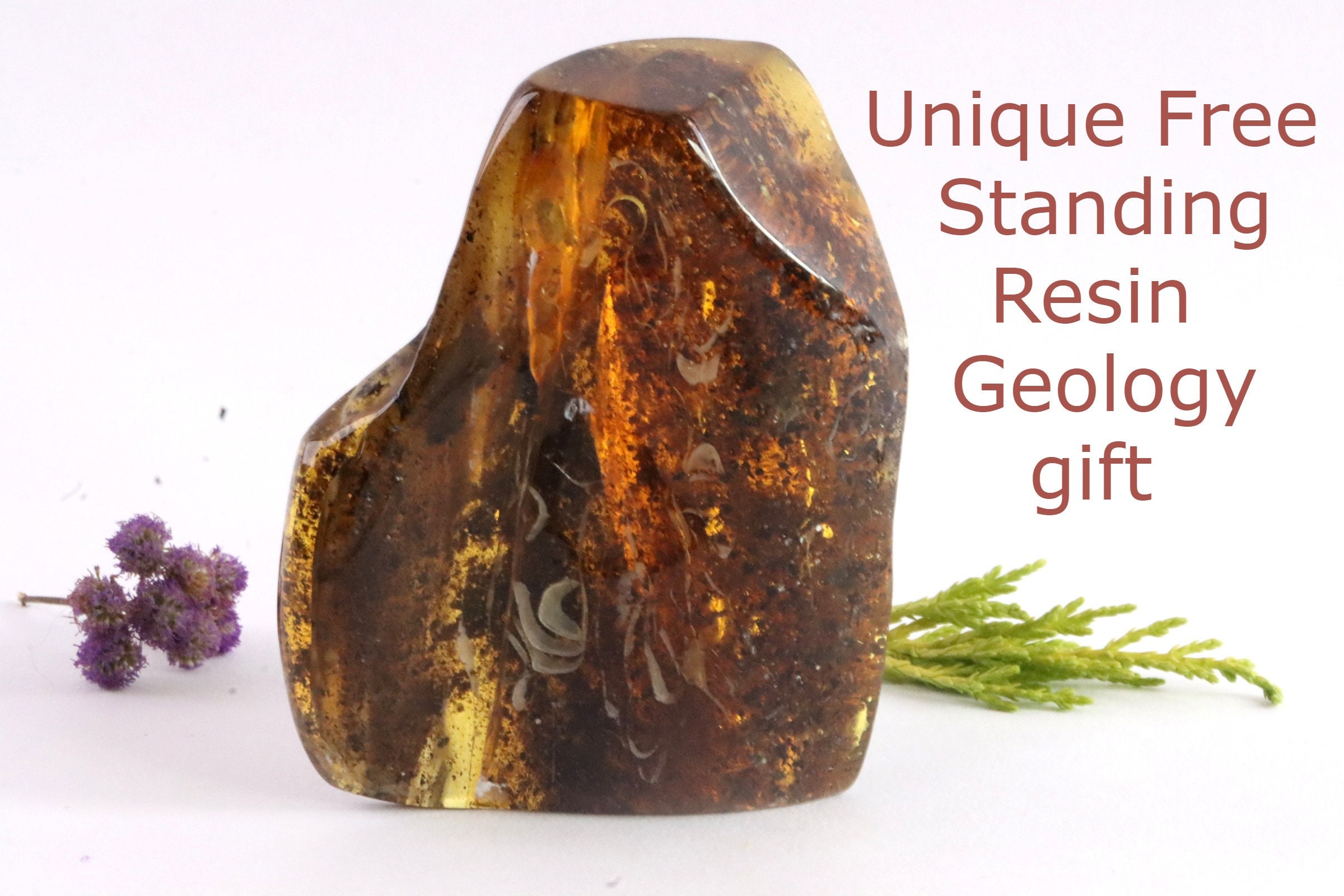 レア極上品 TT0096虫入り琥珀化石扁泥虫属 幼虫 9900万年前 レア極上品 TT0096虫入り琥珀化石扁泥虫属 幼虫 9900万年